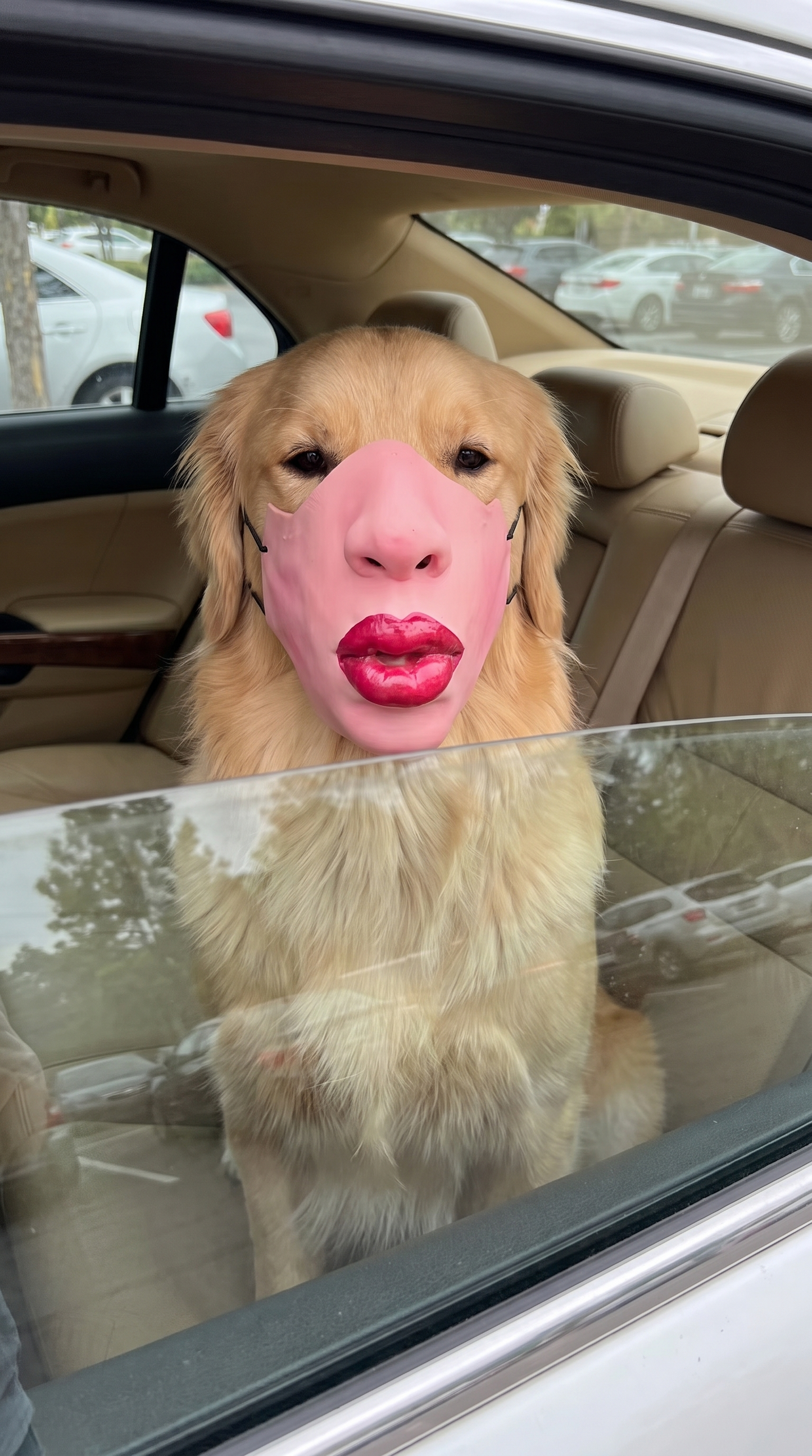 BarkFace™ — The Viral Funny Pet Mask